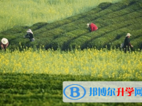 广元2022年中考成绩有没D