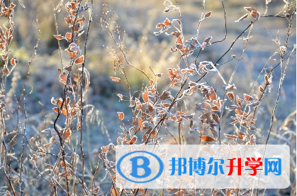 广元2022年如何填中考学校