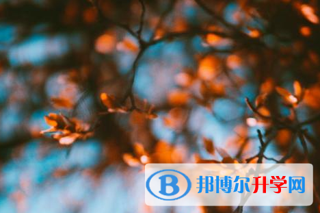 广元2022年有多少中考生落榜