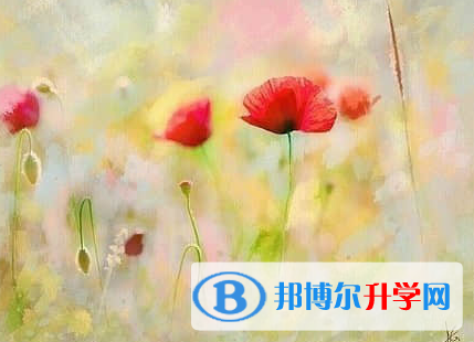 广元2022年中考必考题