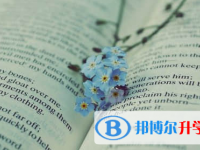 广元2022年中考成绩今年怎么这么高