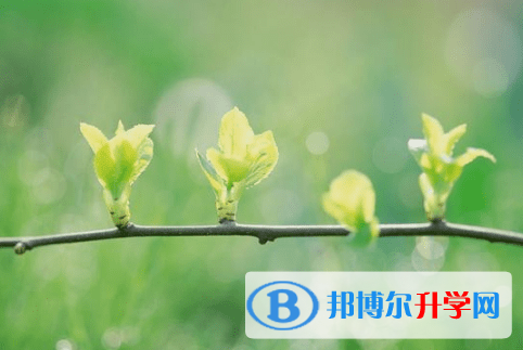 广元2022年中考改革