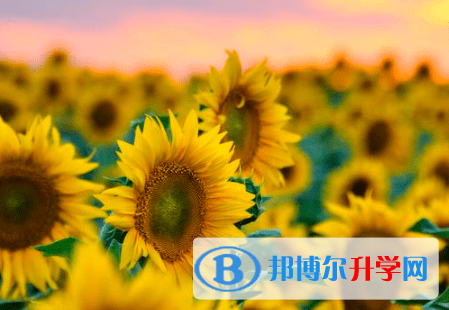 广元2022年中考回老家读行吗