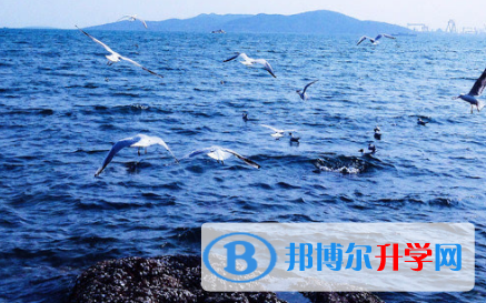广元2022年中考录取行情