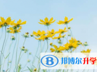 广元2022年中考难度