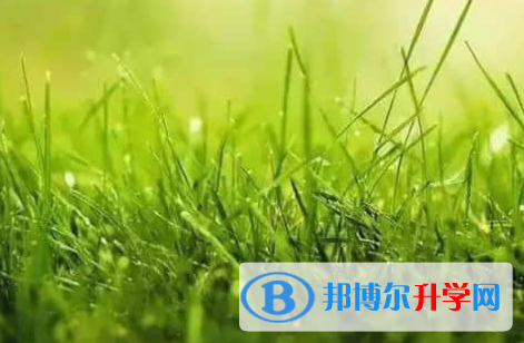 广元2022年中考派的学校有哪些学校