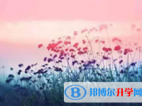 广元2022年中考如何