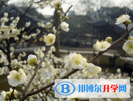 广元2022年中考失利