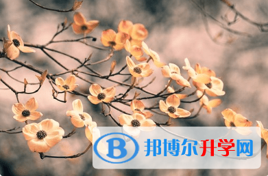 广元2022年中考时间表