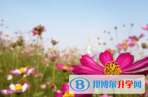 广元2022年中考试卷难吗