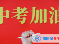 广元2022年中考统考成绩