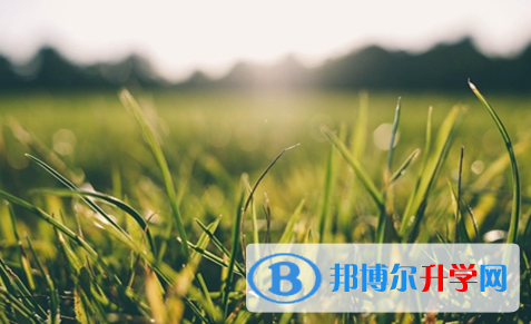 广元2022年中考网络应用平台