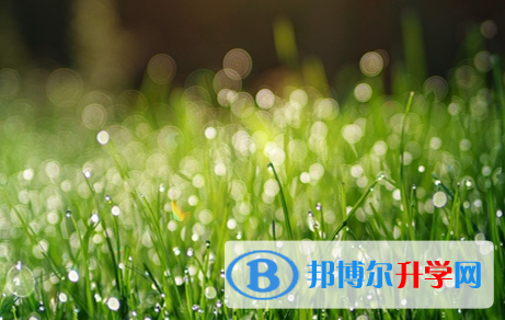 广元2022年中考网上报考信息平台