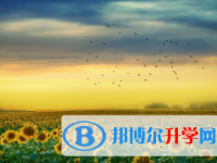 广元2022年中考预估重点线