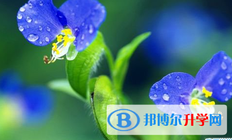 遂宁2022年中考怎样考出好成绩