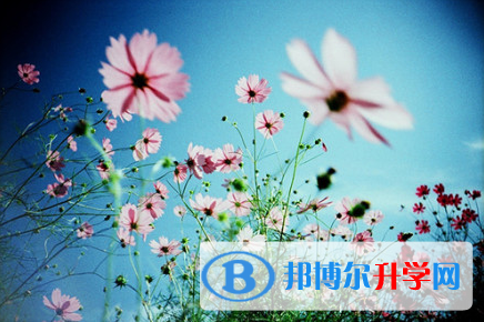 遂宁2022年历年中考重点