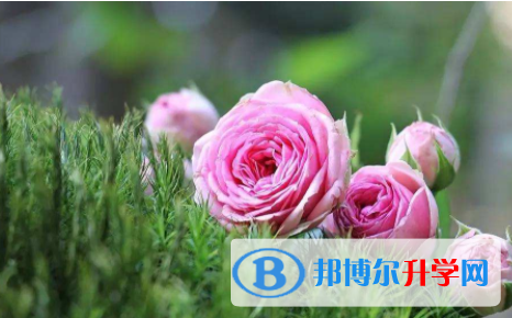 遂宁2022年中考成绩今年怎么这么高