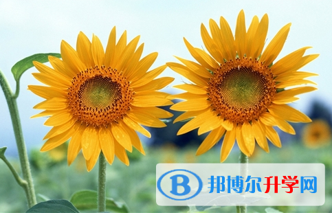 遂宁2022年中考改革