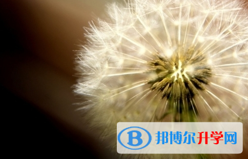 遂宁2022年中考规则