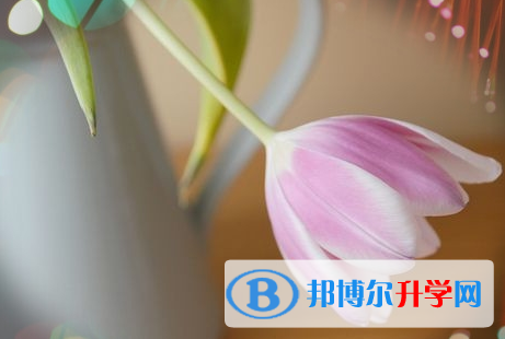遂宁2022年中考建档线