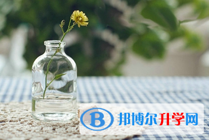 遂宁2022年中考考点