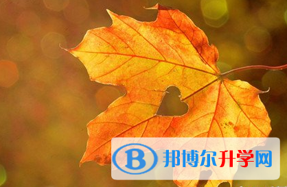 遂宁2022年中考录取行情