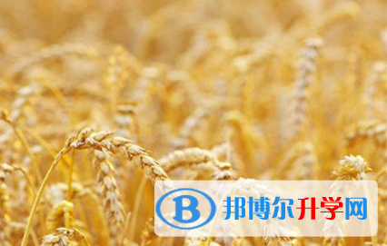 遂宁2022年中考录取情况