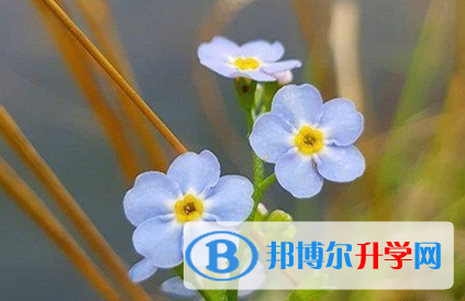 遂宁2022年中考录取时间
