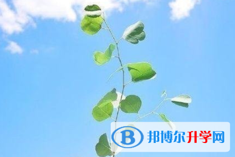 遂宁2022年中考难度