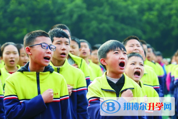 遂宁2022年中考派的学校有哪些学校