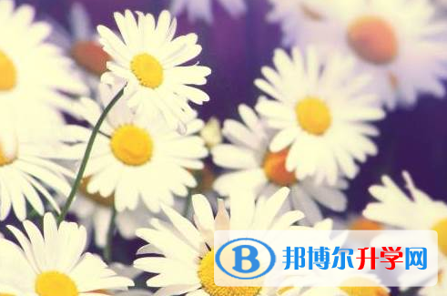 遂宁2022年中考人数