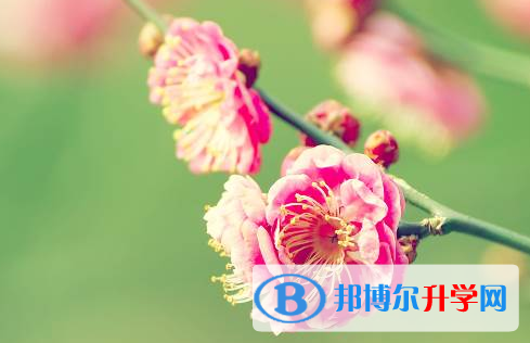 遂宁2022年中考如何