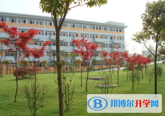 遂宁2022年中考上的学校