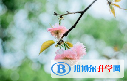 遂宁2022年中考网络平台