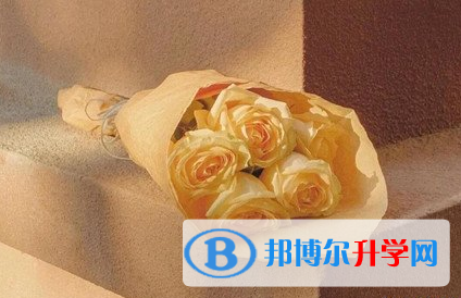 遂宁2022年中考网络应用服务平台