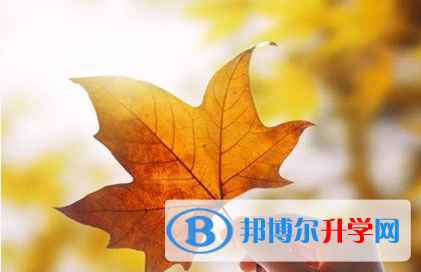 遂宁2022年中考网络应用平台