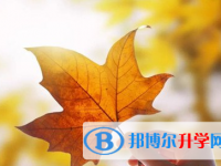 遂宁2022年中考网络应用平台