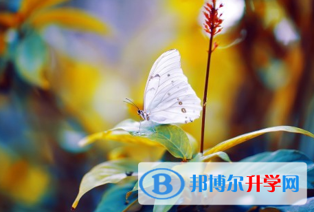 遂宁2022年中考怎么改志愿