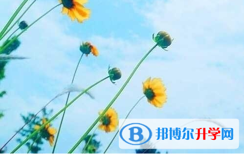 遂宁2022年中考招考信息