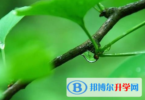 遂宁2022年中考招生办电话