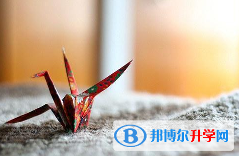 遂宁2022年中考重点复习资料