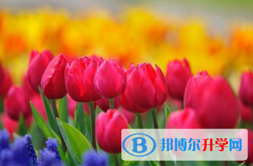遂宁2022年中考重点线是多少