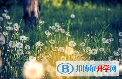 遂宁2022年中考自主招生报名
