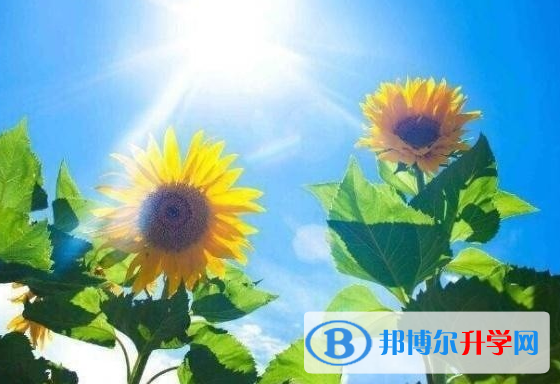 遂宁2022年中考的统招和调剂说明