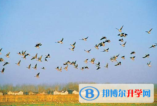 遂宁2022年中考后的出路