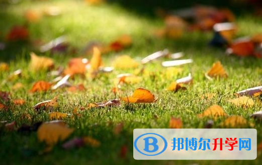 遂宁2022年中考排名