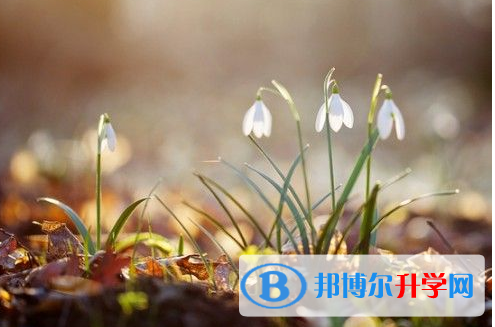 遂宁2022年中考推荐生自荐信