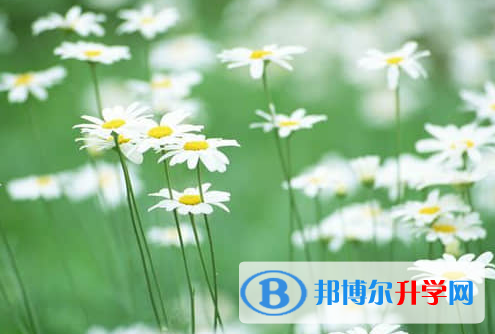 遂宁2022年中考应对策略
