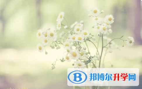 遂宁2022年中考没有被学校录取咋办