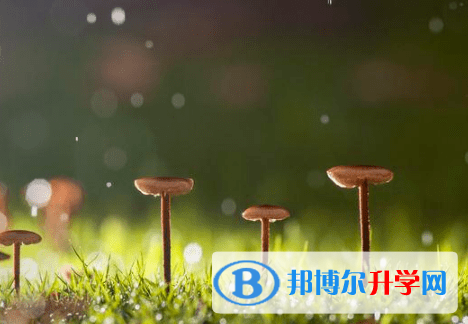 遂宁2022年中考落榜了怎么办